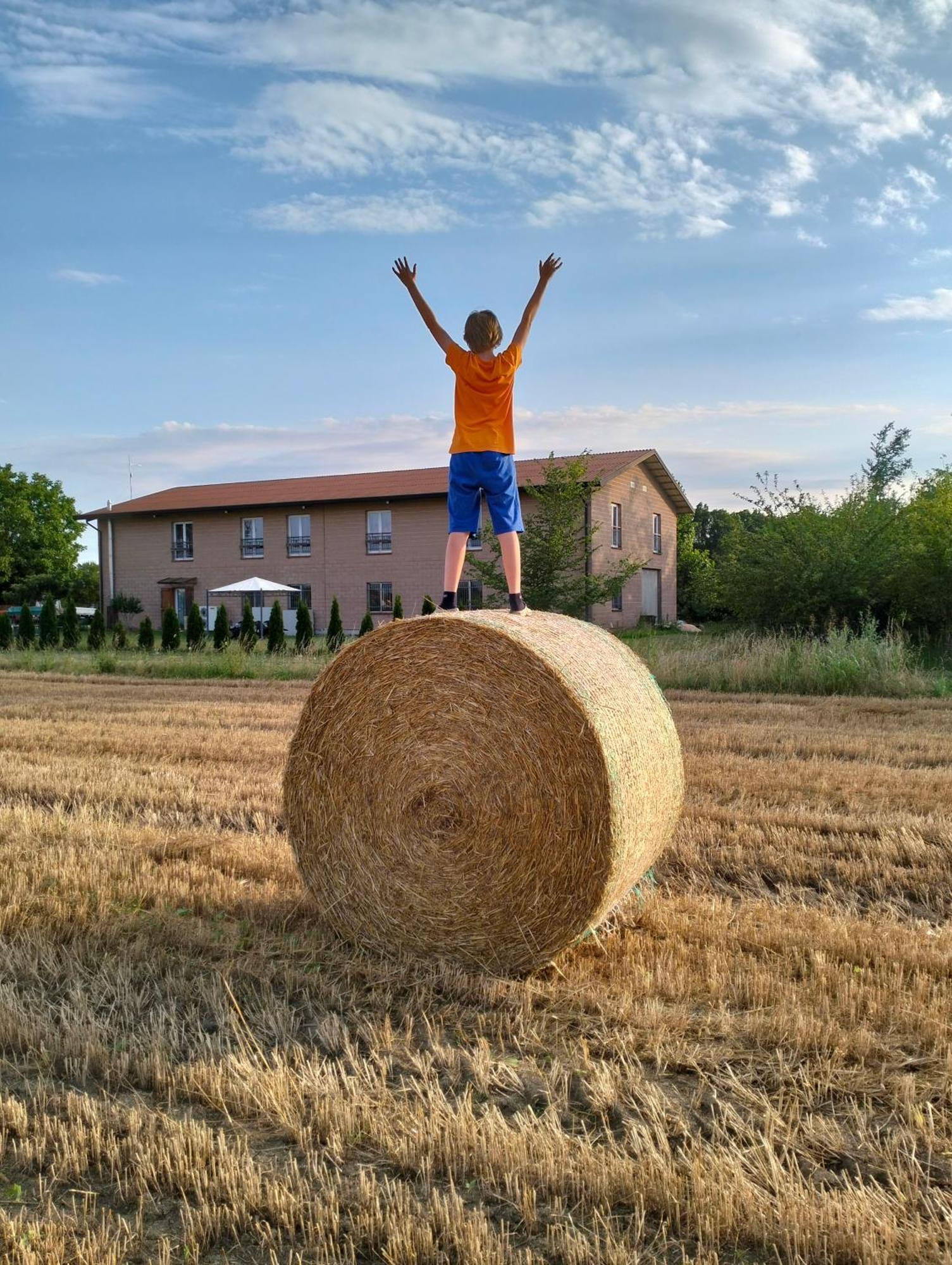 Agriturismo Campi Di Grano Roncade Exterior photo