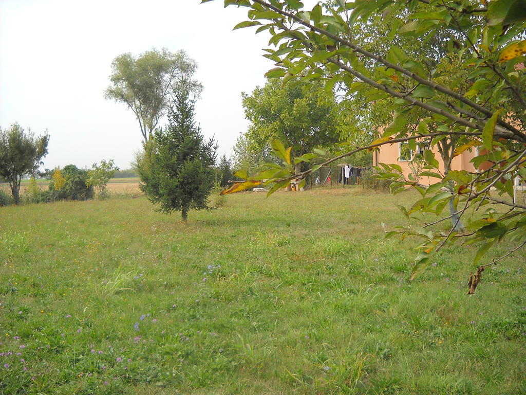 Agriturismo Campi Di Grano Roncade Exterior photo