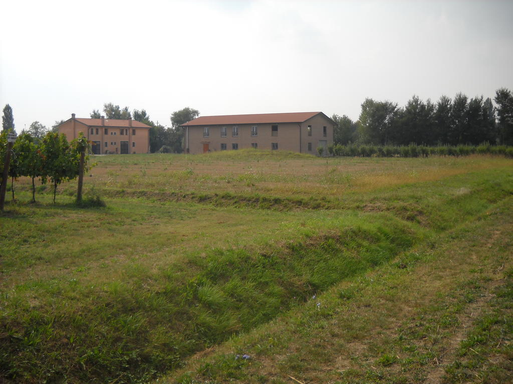 Agriturismo Campi Di Grano Roncade Exterior photo