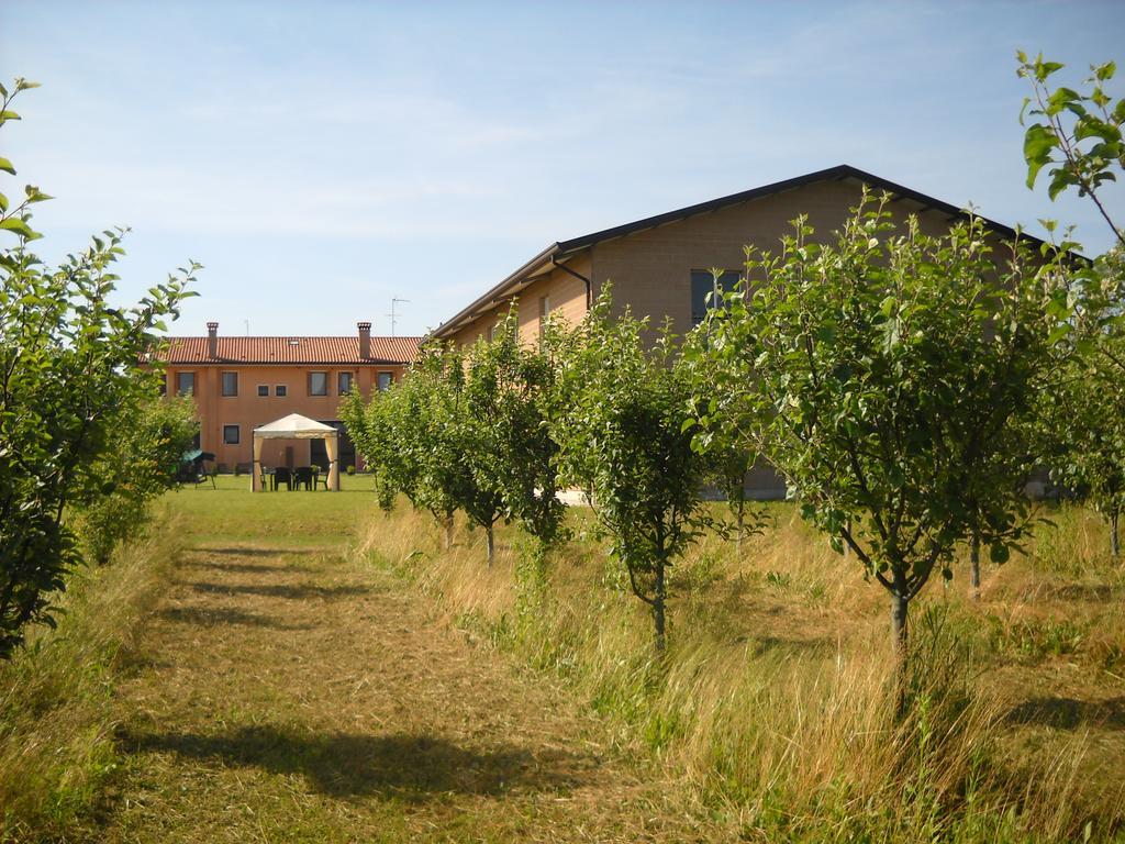 Agriturismo Campi Di Grano Roncade Exterior photo